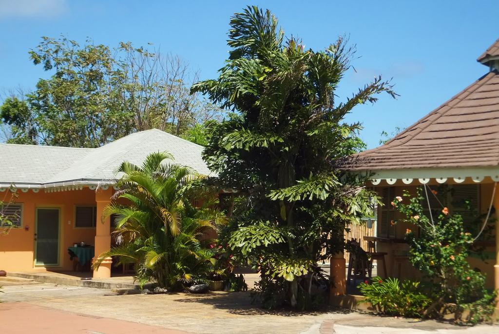 Pimento Lodge Resort Port Antonio Exterior photo