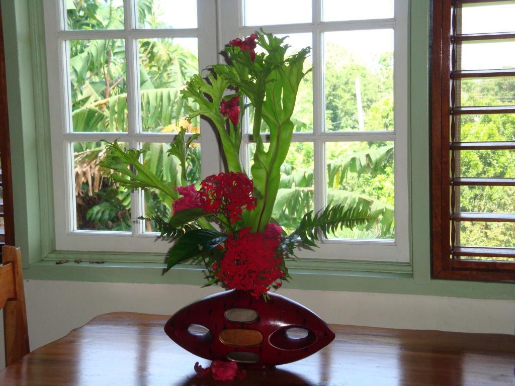 Pimento Lodge Resort Port Antonio Room photo